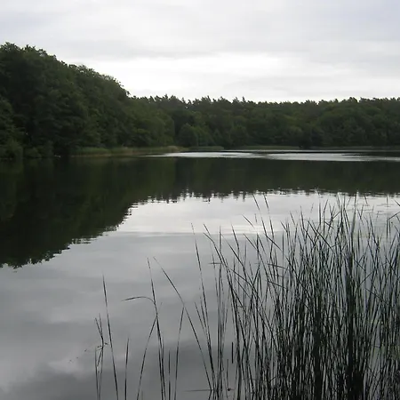 Gemuetlicher Ferienbungalow Mit Eigenem Ruderboot Ferienhaus *